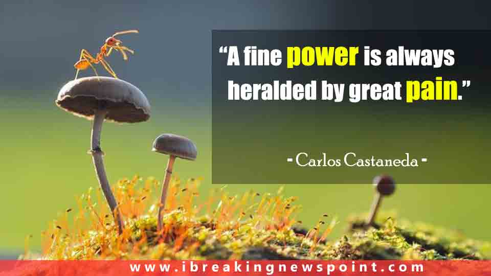 Carlos Castaneda Quotes, Carlos Castaneda Sayings, Quotes By Carlos Castaneda, Carlos Castaneda Books, Carlos Castaneda Bio, Carlos Castaneda Facts, 