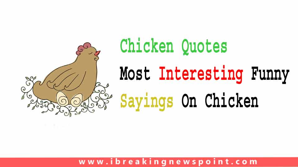 Chicken Quotes: Most Interesting, Funny Sayings On Chicken